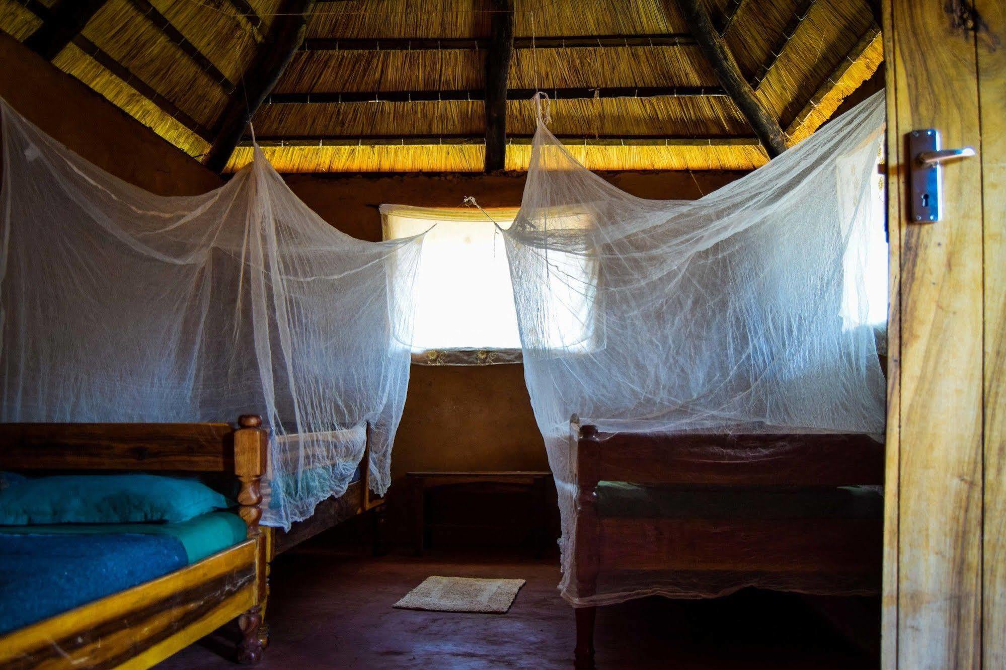 Zinga Backpackers Hotell Livingstone Eksteriør bilde